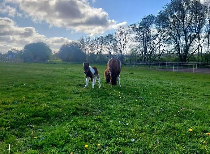 Ferien In Ostseenaehe